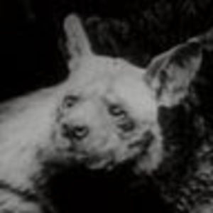 Meet your Posher, Claire